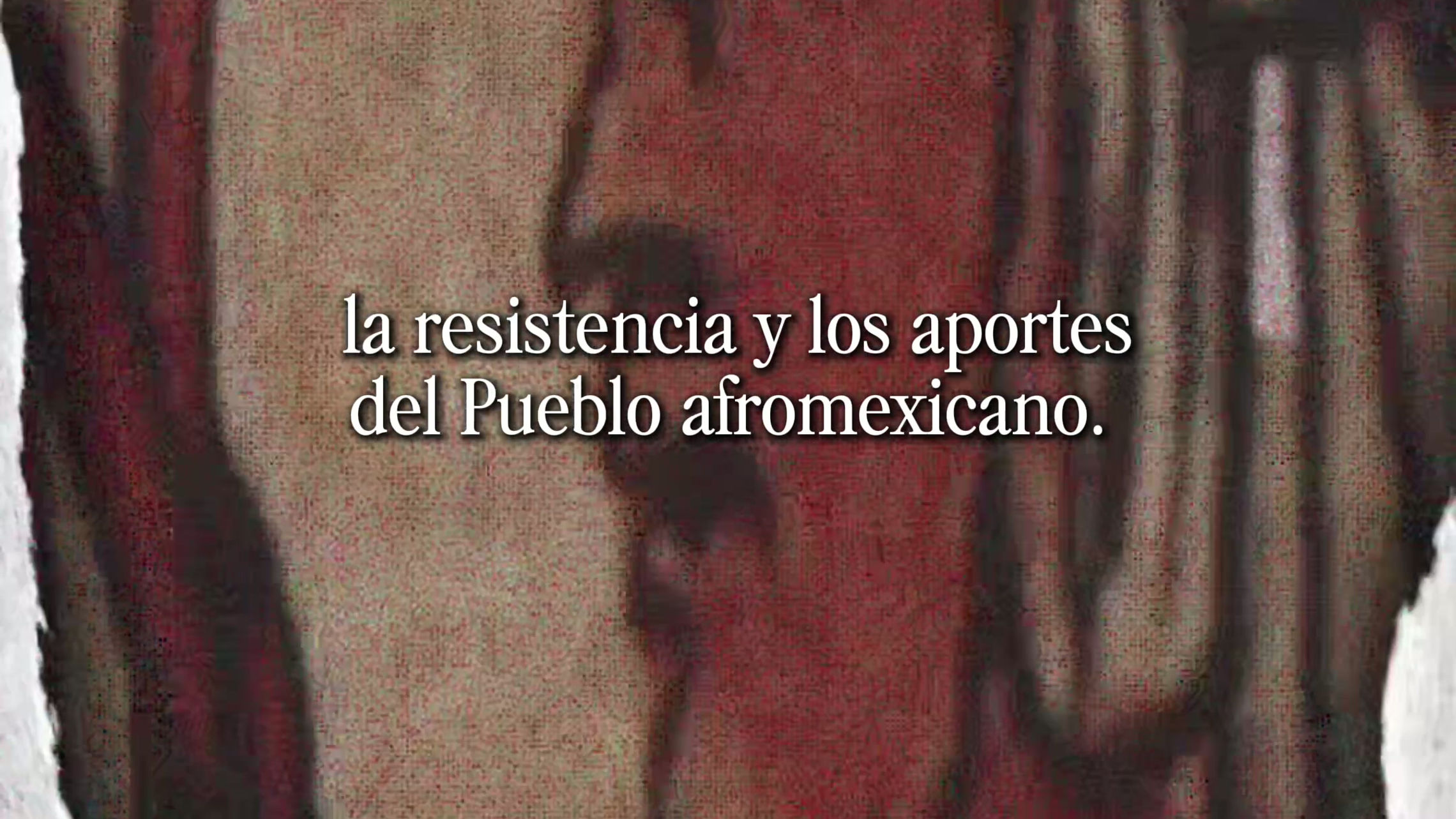 Todos los videos